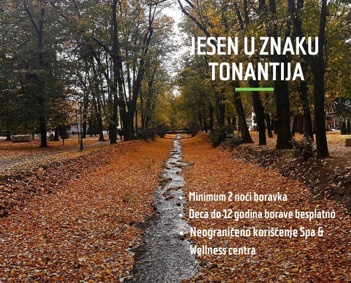 Autumn at Tonanti