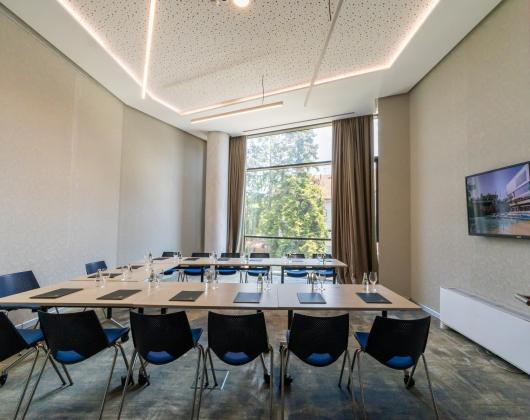 BOARD ROOM (small hall)
