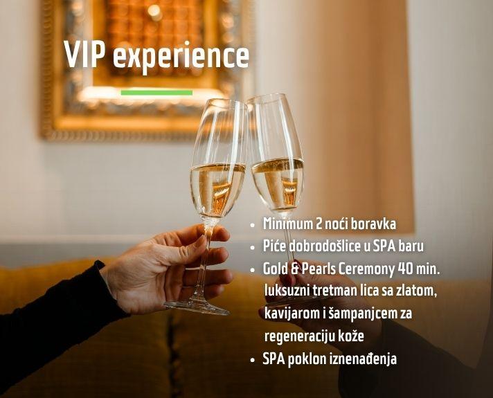 VIP Experience